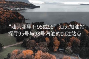 “汕头哪里有95或98”汕头加油站，探寻95号与98号汽油的加注站点