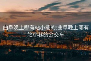 曲阜晚上哪有站小巷的:曲阜晚上哪有站小巷的公交车