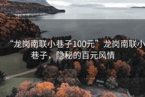 “龙岗南联小巷子100元”龙岗南联小巷子，隐秘的百元风情