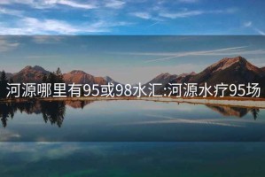 河源哪里有95或98水汇:河源水疗95场