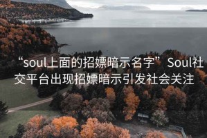 “soul上面的招嫖暗示名字”Soul社交平台出现招嫖暗示引发社会关注