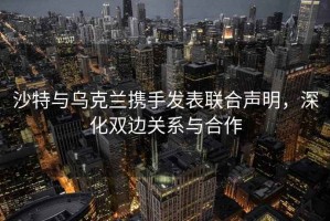 沙特与乌克兰携手发表联合声明，深化双边关系与合作