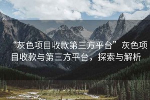 “灰色项目收款第三方平台”灰色项目收款与第三方平台，探索与解析