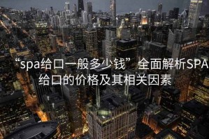 “spa给口一般多少钱”全面解析SPA给口的价格及其相关因素