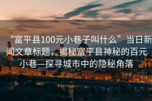 “富平县100元小巷子叫什么”当日新闻文章标题，揭秘富平县神秘的百元小巷—探寻城市中的隐秘角落