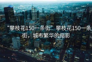 “攀枝花150一条街”攀枝花150一条街，城市繁华的缩影