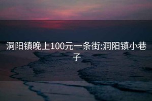 洞阳镇晚上100元一条街:洞阳镇小巷子