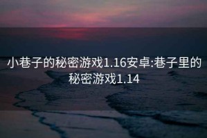 小巷子的秘密游戏1.16安卓:巷子里的秘密游戏1.14