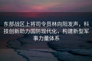 东部战区上将司令员林向阳发声，科技创新助力国防现代化，构建新型军事力量体系