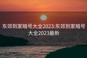 东郊到家暗号大全2023:东郊到家暗号大全2023最新