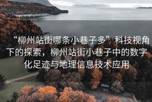 “柳州站街哪条小巷子多”科技视角下的探索，柳州站街小巷子中的数字化足迹与地理信息技术应用