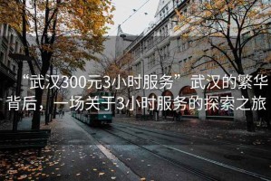 “武汉300元3小时服务”武汉的繁华背后，一场关于3小时服务的探索之旅