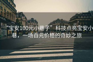 “宝安100元小巷子”科技点亮宝安小巷，一场百元价格的奇妙之旅