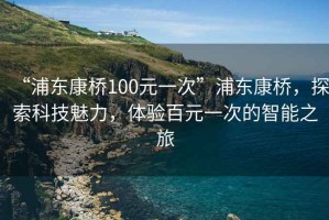 “浦东康桥100元一次”浦东康桥，探索科技魅力，体验百元一次的智能之旅