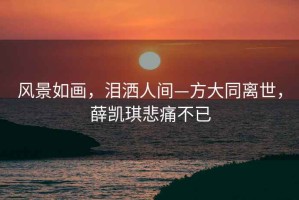 风景如画，泪洒人间—方大同离世，薛凯琪悲痛不已