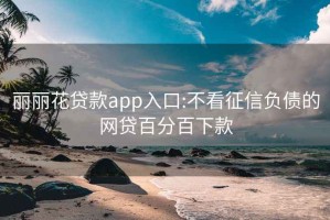 丽丽花贷款app入口:不看征信负债的网贷百分百下款