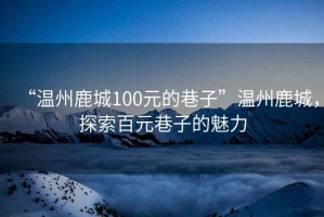 “温州鹿城100元的巷子”温州鹿城，探索百元巷子的魅力