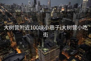 大树营附近100块小巷子:大树营小吃街