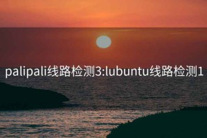 palipali线路检测3:lubuntu线路检测1