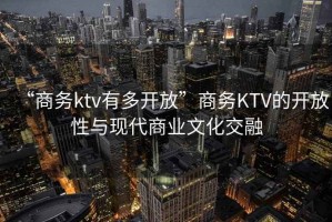 “商务ktv有多开放”商务KTV的开放性与现代商业文化交融