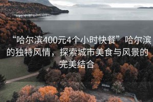 “哈尔滨400元4个小时快餐”哈尔滨的独特风情，探索城市美食与风景的完美结合