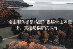 “宝山哪条街是鸡窝”揭秘宝山鸡窝街，真相与误解的探寻