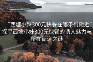 “西塘小妹300元快餐在哪条街附近”探寻西塘小妹300元快餐的诱人魅力与所在街道之谜