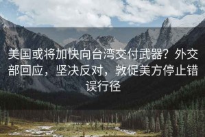 美国或将加快向台湾交付武器？外交部回应，坚决反对，敦促美方停止错误行径