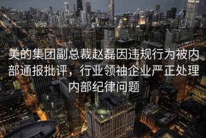 美的集团副总裁赵磊因违规行为被内部通报批评，行业领袖企业严正处理内部纪律问题