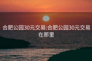 合肥公园30元交易:合肥公园30元交易在那里