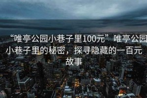 “唯亭公园小巷子里100元”唯亭公园小巷子里的秘密，探寻隐藏的一百元故事