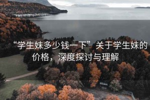 “学生妹多少钱一下”关于学生妹的价格，深度探讨与理解