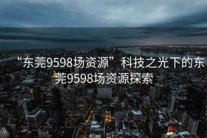 “东莞9598场资源”科技之光下的东莞9598场资源探索