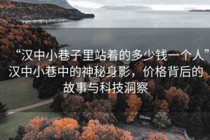 “汉中小巷子里站着的多少钱一个人”汉中小巷中的神秘身影，价格背后的故事与科技洞察