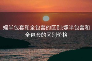 嫖半包套和全包套的区别:嫖半包套和全包套的区别价格