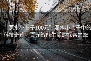 “溧水小巷子100元”溧水小巷子中的科技奇迹，百元智能生活的探索之旅