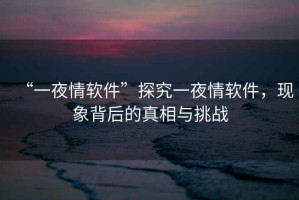 “一夜情软件”探究一夜情软件，现象背后的真相与挑战