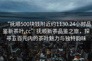 “抚顺500块钱附近约1130.24小时品鉴新茶叶.cc”抚顺新茶品鉴之旅，探寻五百元内的茶叶魅力与独特韵味