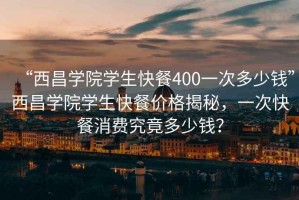 “西昌学院学生快餐400一次多少钱”西昌学院学生快餐价格揭秘，一次快餐消费究竟多少钱？