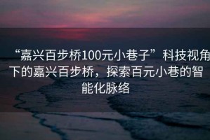 “嘉兴百步桥100元小巷子”科技视角下的嘉兴百步桥，探索百元小巷的智能化脉络