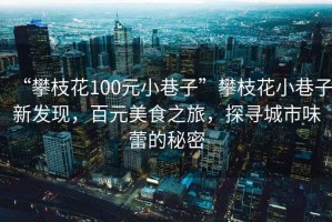 “攀枝花100元小巷子”攀枝花小巷子新发现，百元美食之旅，探寻城市味蕾的秘密