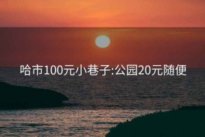 哈市100元小巷子:公园20元随便