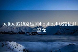 palipali2线路检测4:palipali线路检测一整晚