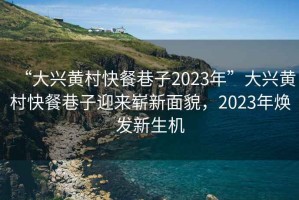 “大兴黄村快餐巷子2023年”大兴黄村快餐巷子迎来崭新面貌，2023年焕发新生机