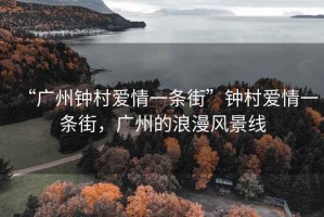 “广州钟村爱情一条街”钟村爱情一条街，广州的浪漫风景线