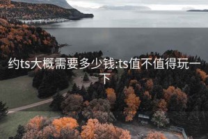 约ts大概需要多少钱:ts值不值得玩一下