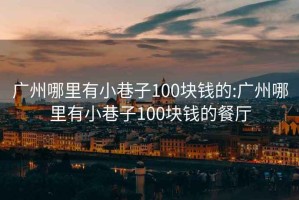 广州哪里有小巷子100块钱的:广州哪里有小巷子100块钱的餐厅