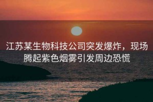 江苏某生物科技公司突发爆炸，现场腾起紫色烟雾引发周边恐慌