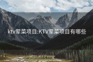 ktv荤菜项目:KTV荤菜项目有哪些