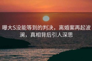 曝大S没能等到的判决，离婚案再起波澜，真相背后引人深思